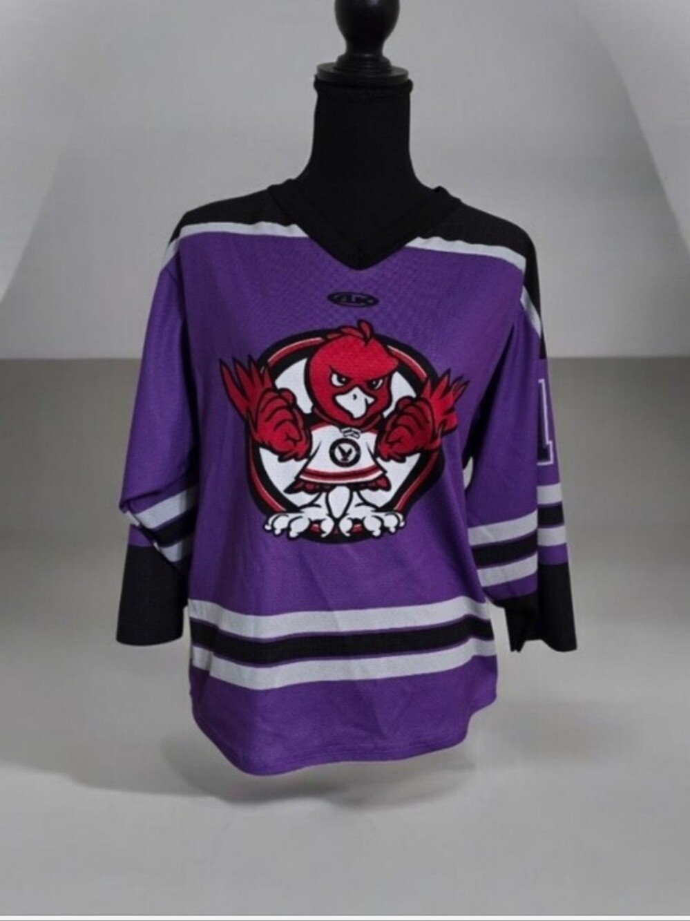 Purple Mascot Hockey Jersey - Unbranded